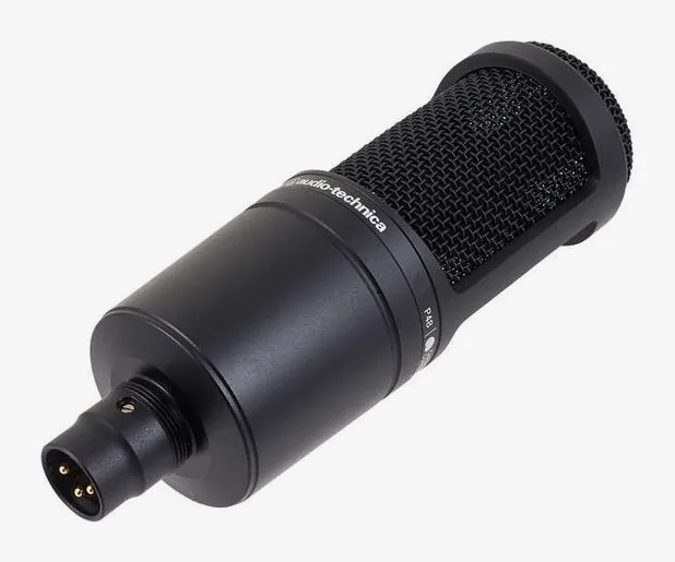 Audio-Technica AT2020, grille et capsule, photo 3