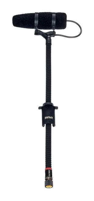 DPA 4099-DP-1, grille et capsule, photo 2