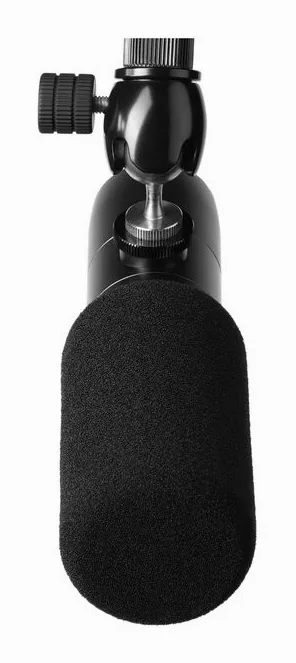 Earthworks Audio Ethos Black, grille et capsule, photo 3