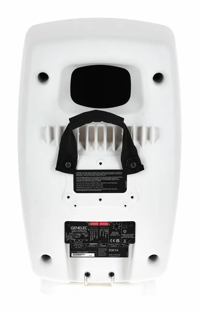 Genelec 8361 AW, vue de face, photo 4