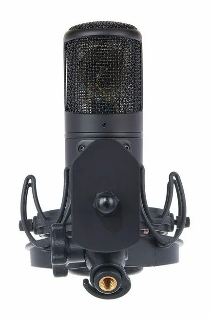 Golden Age Audio Premier GA-8000, vue de profil, photo 2
