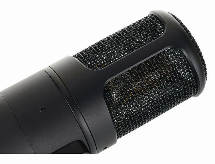 Golden Age Audio Premier GA-8000, vue de profil, photo 4