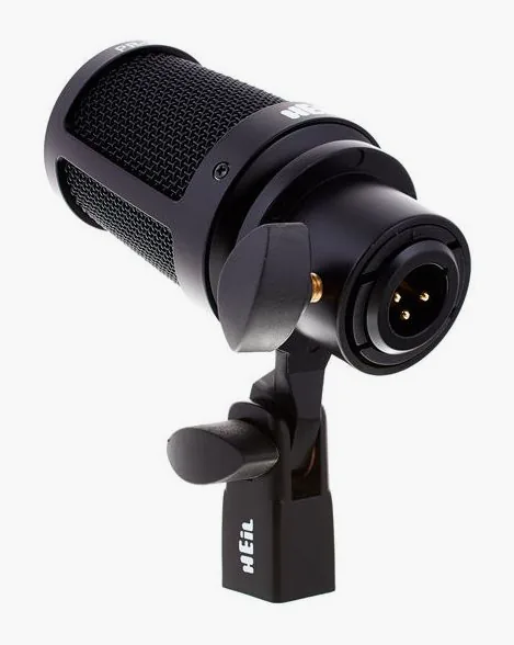 Heil Sound PR31 BW, vue de profil, photo 2