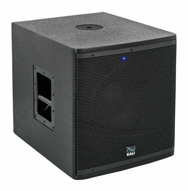 Kali Audio WS-12 V2, face arrière, photo 3