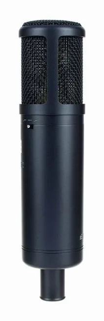 SE Electronics SE 2200, grille et capsule, photo 2