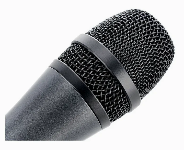 Sennheiser E845, grille et capsule, photo 3