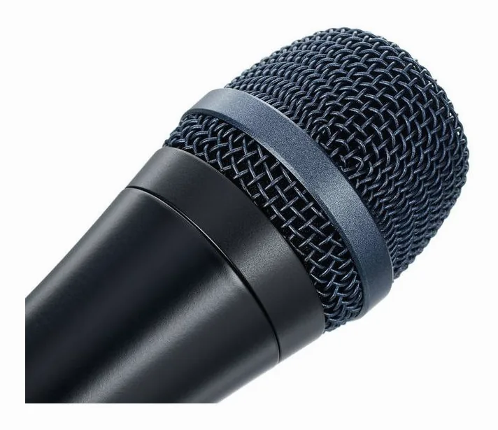Sennheiser E 935, grille et capsule, photo 3