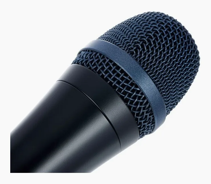 Sennheiser E 945, grille et capsule, photo 3