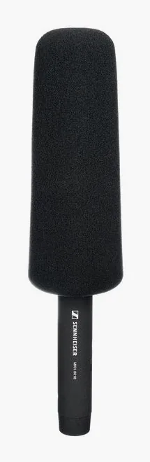 Sennheiser MKH 8018, corps et connecteur, photo 4