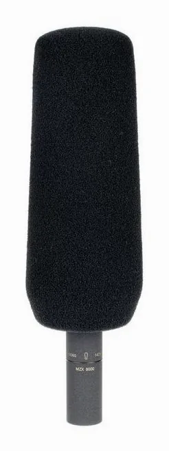 Sennheiser MKH 8060, vue de face, photo 4